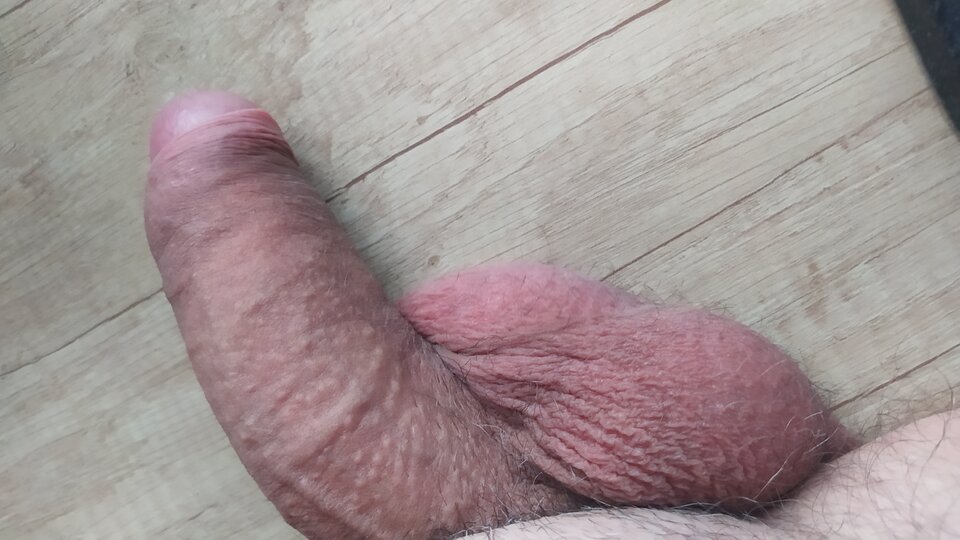 IMG_20221031_071502.jpg - aszeto