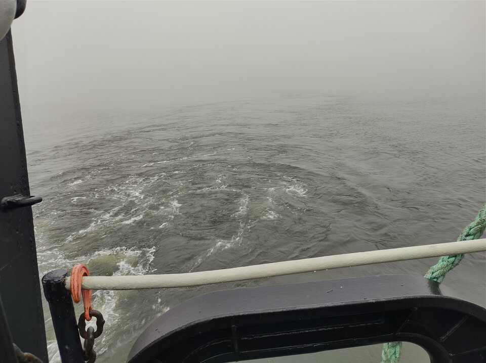 IMG_20221031_103735734_HDR.jpg - Honey1970