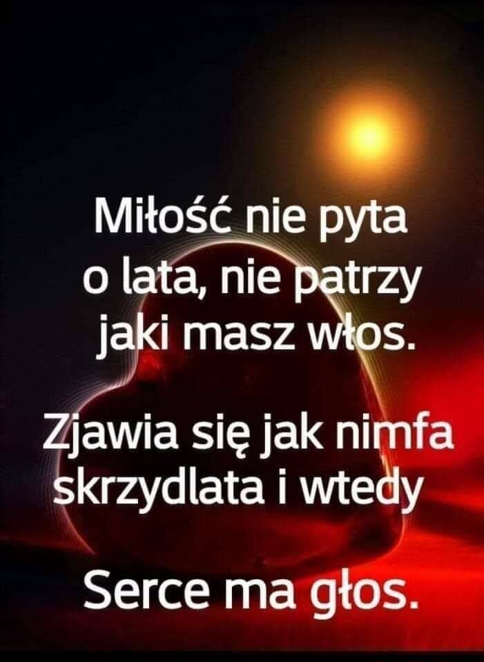 FB_IMG_1667210999788.jpg - Tradycyjna