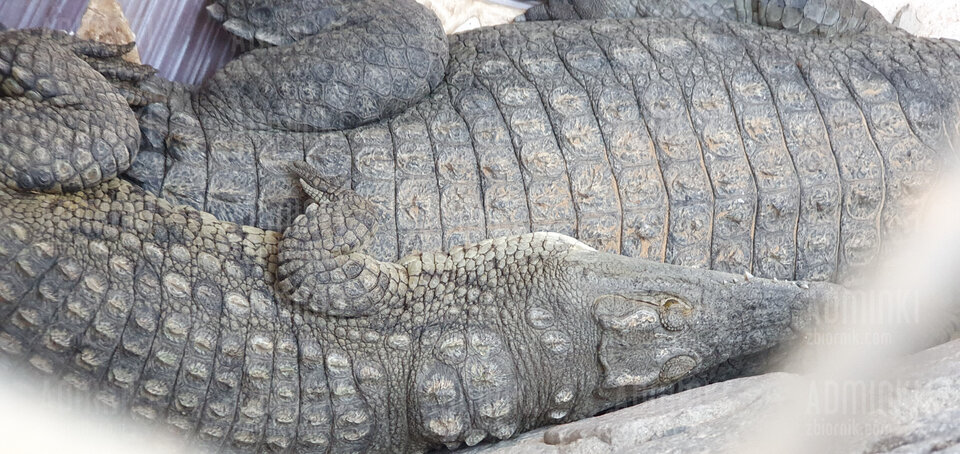 20221025_165218.jpg - Adminki