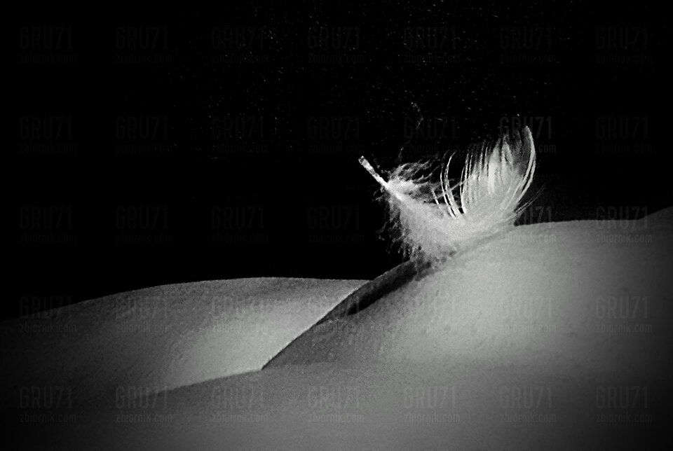 20221031_215233~3.jpg - gru71