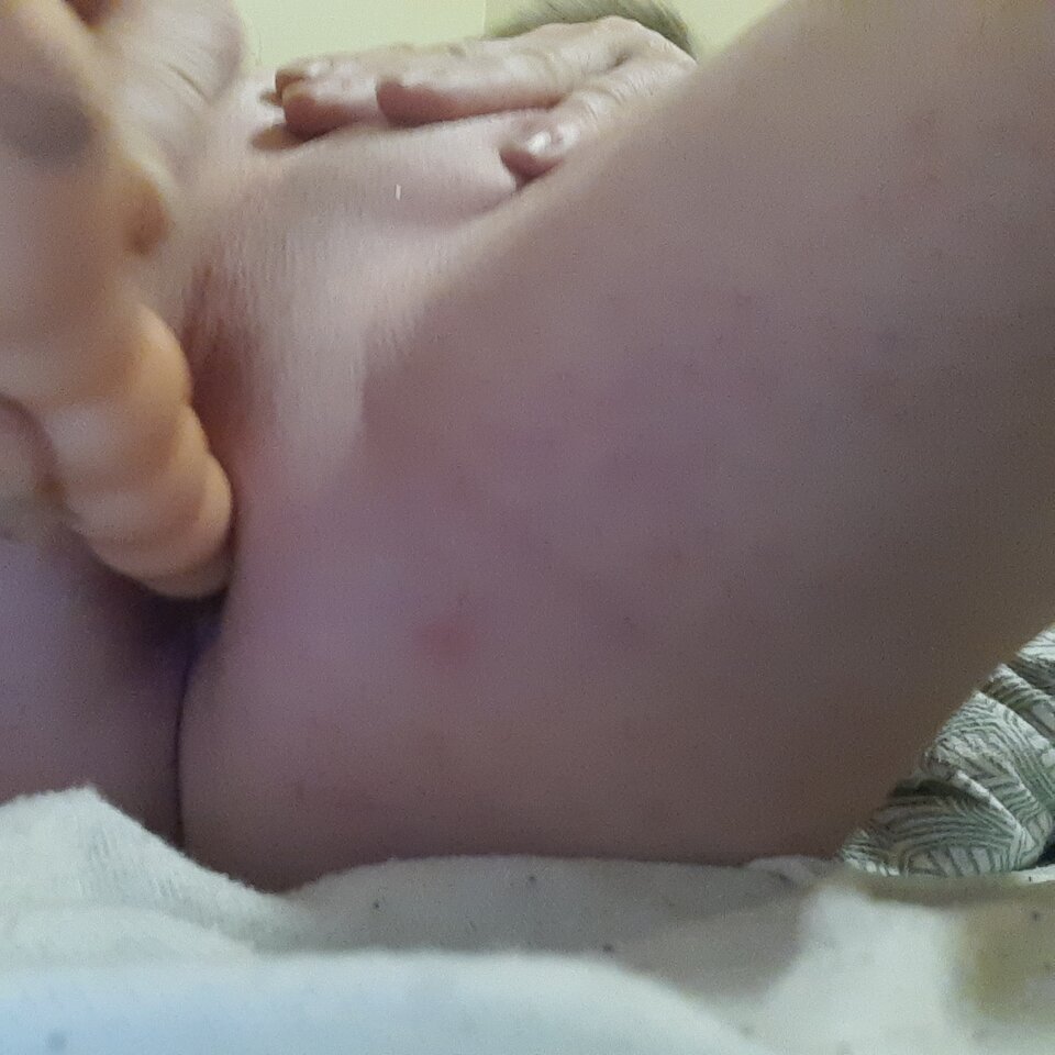 16672519449168696200984534027189.jpg - Palciusia