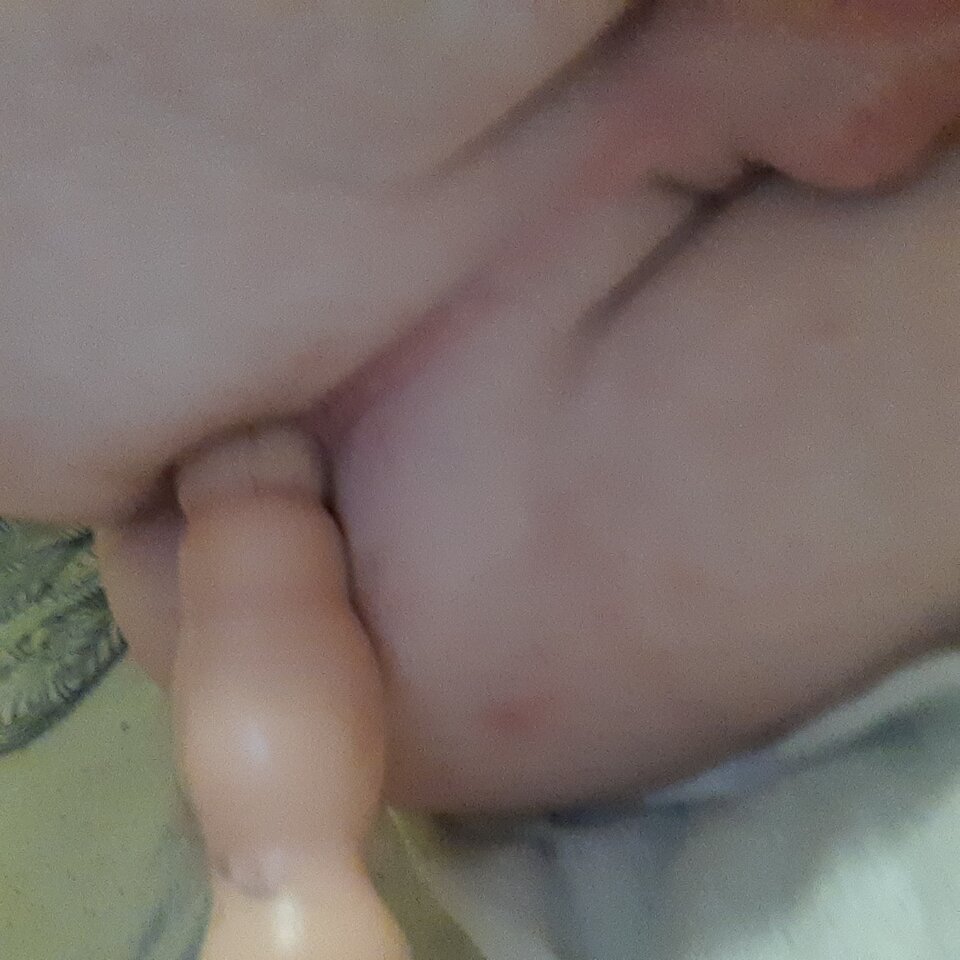 16672522203204106814939658099785.jpg - Palciusia