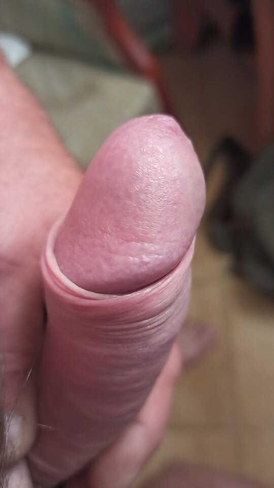 IMG_20220723_083617.jpg - artur42wawa