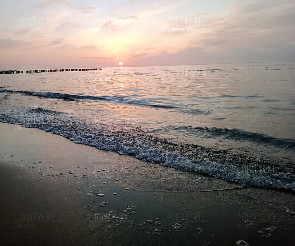 IMG20220501202005.jpg - _motylki_