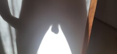 20220624_182329.jpg