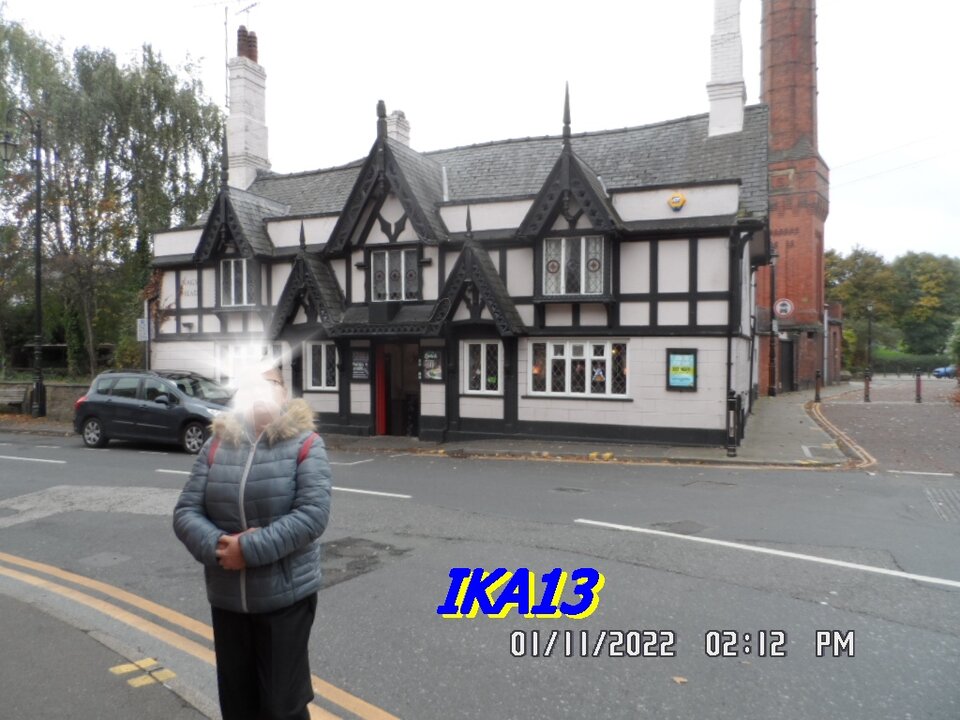 SAM_4320.JPG - ika13