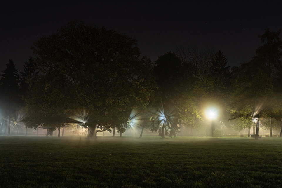 Flash in the night - mystic