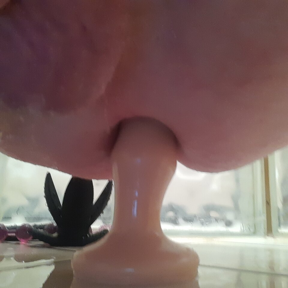 16674177156965378494306220058614.jpg - Palciusia