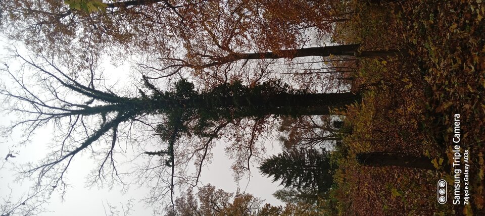 20221031_092312453.jpg - reporter13