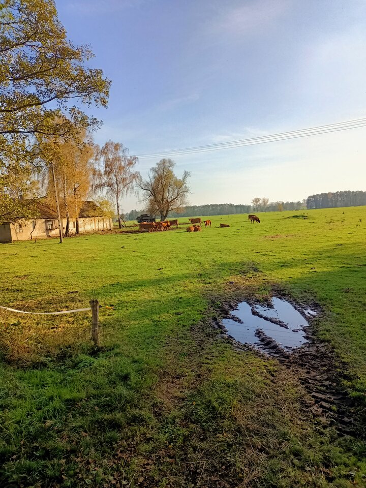 IMG20221027151035.jpg - hypns