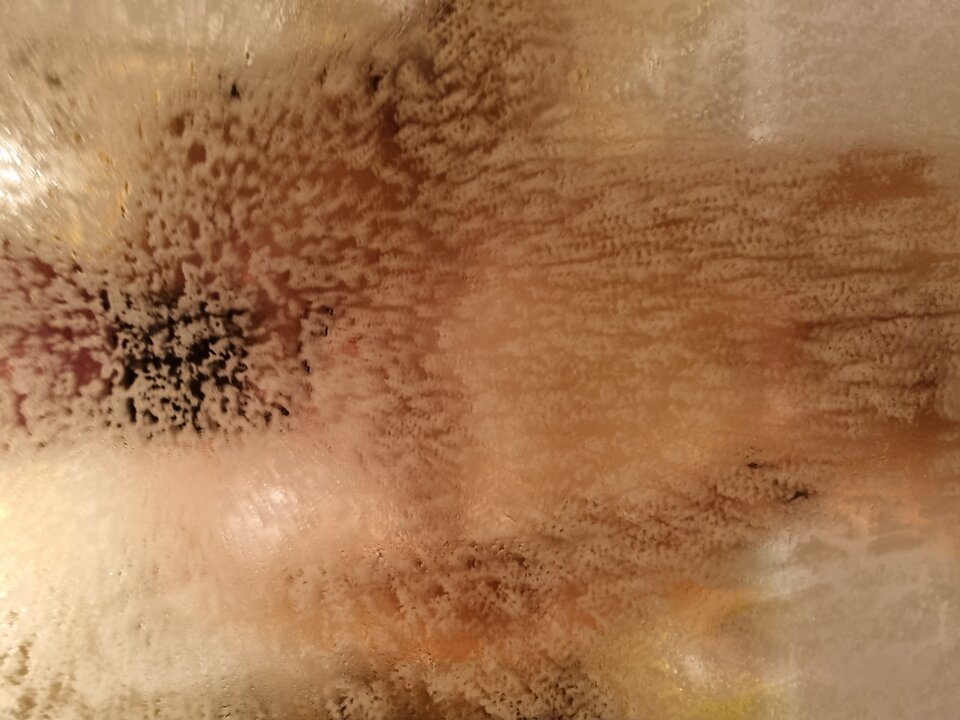 20221101_192822.jpg - Arivve