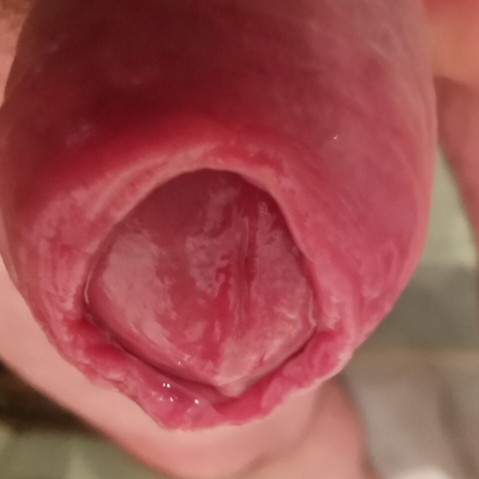 IMG_20221104_075307.jpg - Zi0001