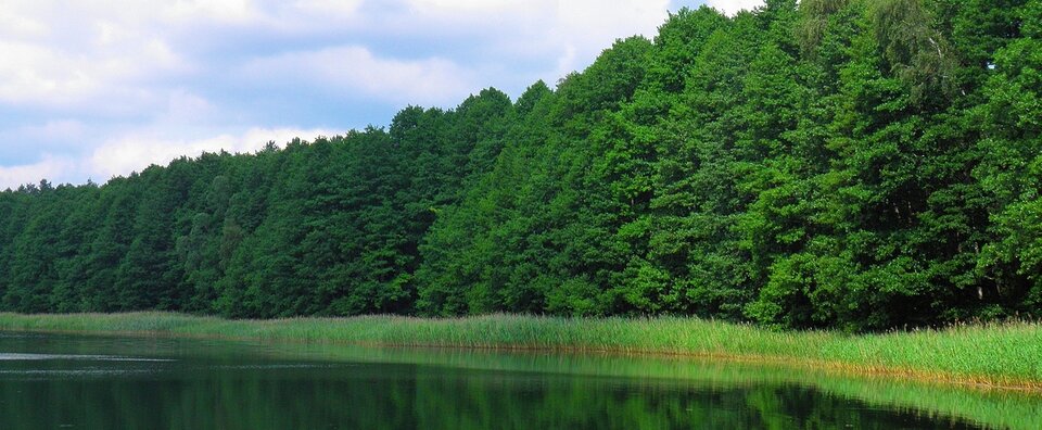 Tło ;) - OniParaKamerki