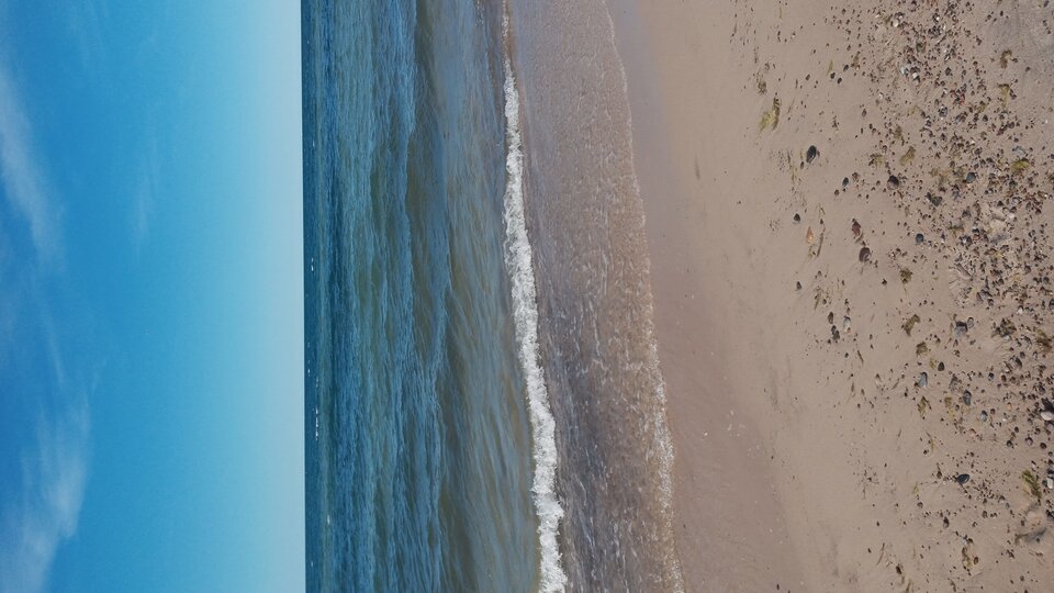 20220811_154019.jpg - Mrowka72