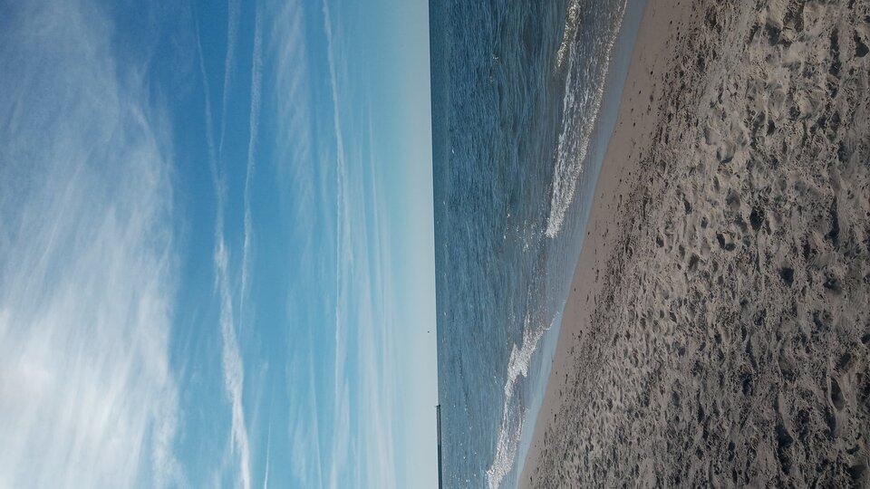 20220811_153956.jpg - Mrowka72