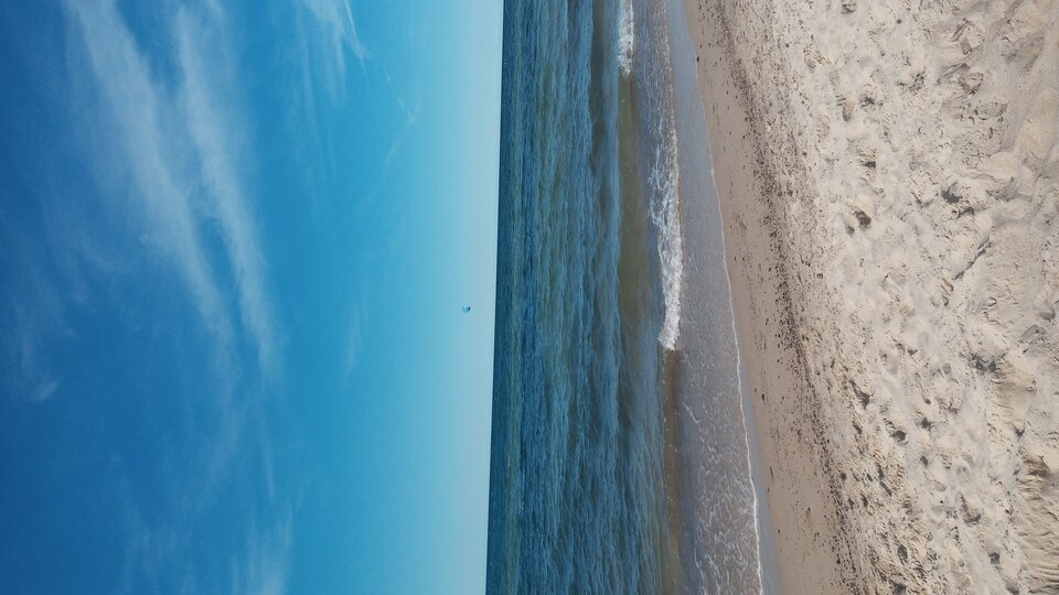 20220811_153944.jpg - Mrowka72