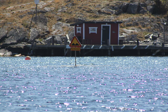 waldemar35