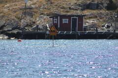 IMG_8320.JPG