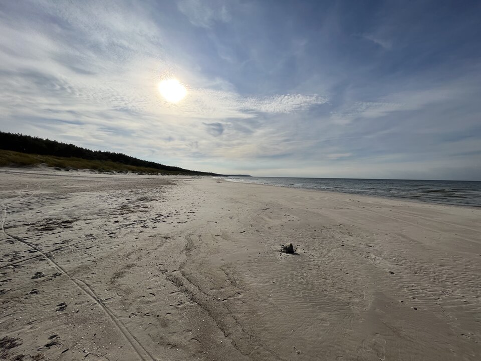 98E36C0D-0E0D-4957-9A22-CC332310E8ED.jpeg - IamTeddy