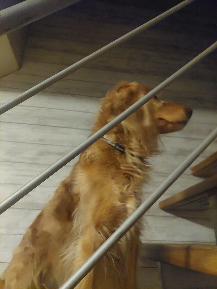 20221031_221444.jpg - reserva1