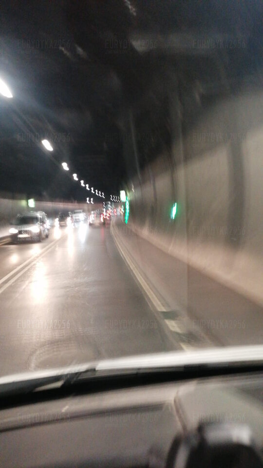 IMG-20221104-WA0002.jpg - Eurydyka2956