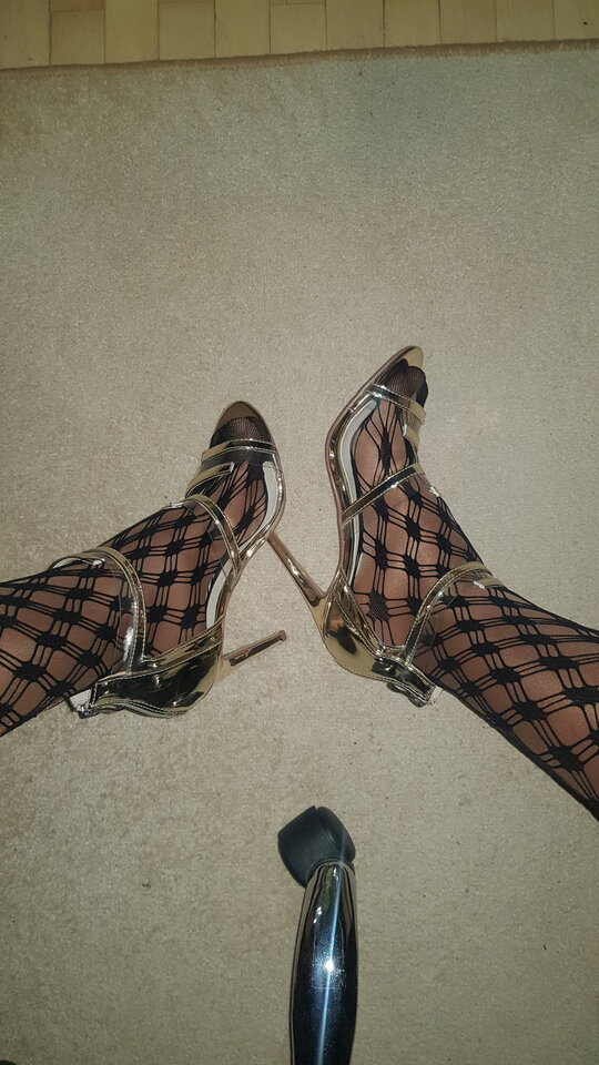 20221029_065321.jpg - bruno1981