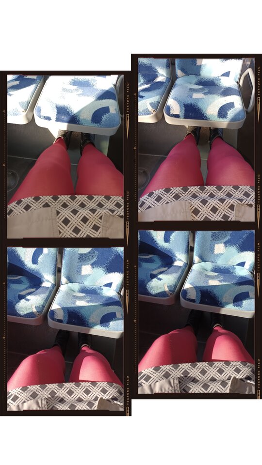 IMG_20221106_105345.jpg - Zapomnialam