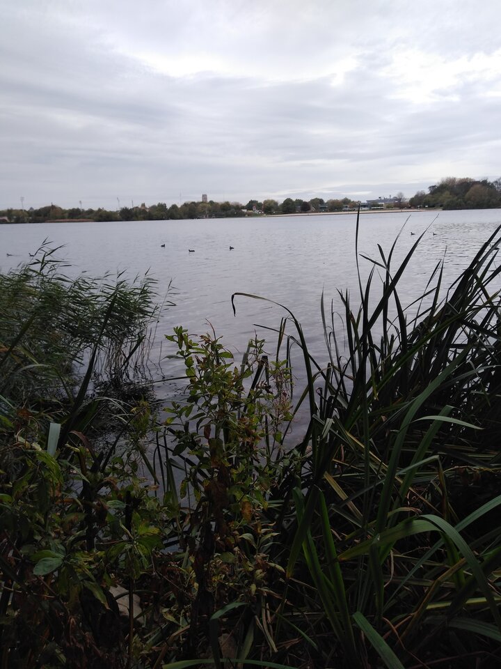 16677343077971005021359937472675.jpg - wawamybi