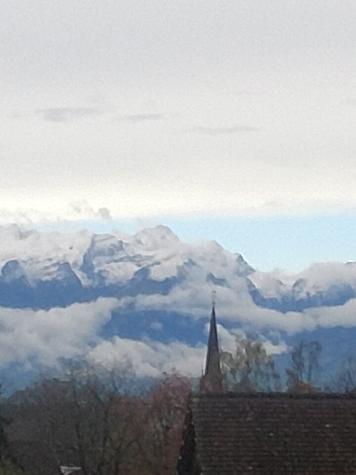 IMG_20221104_102226823.jpg - Guciu5845