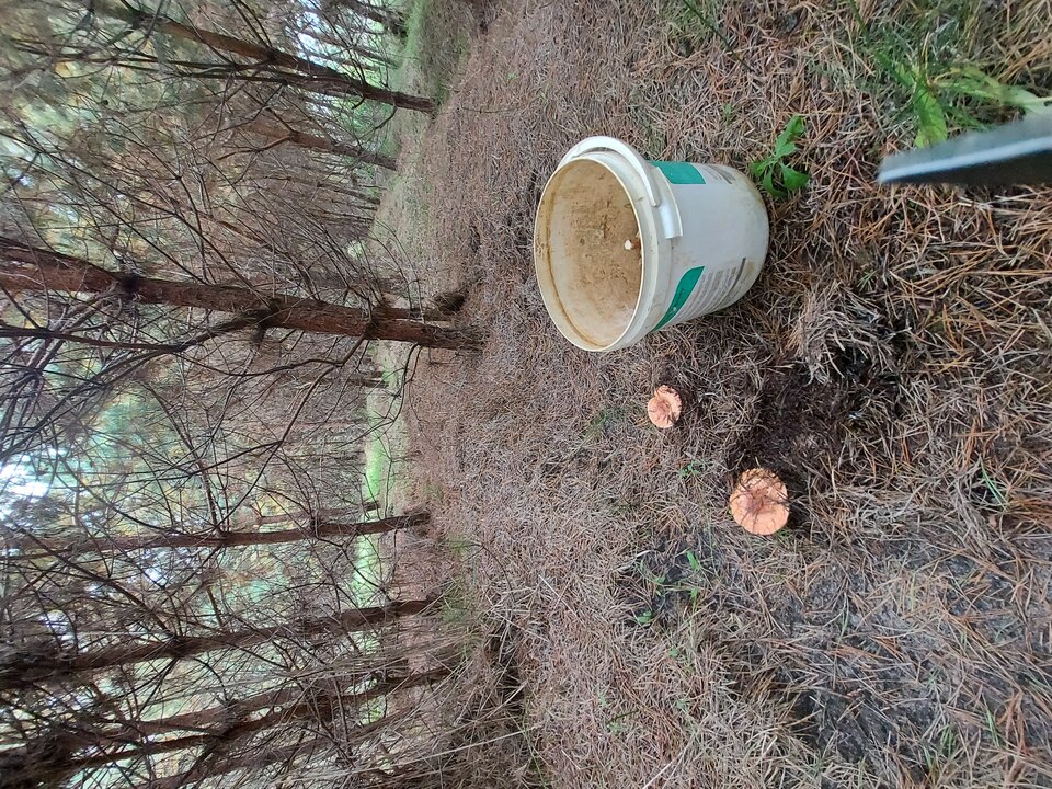 20220926_150858.jpg - olus26tv