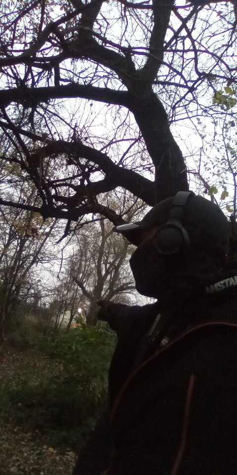 16677471614143370310605006672705.jpg - Sexmilfq