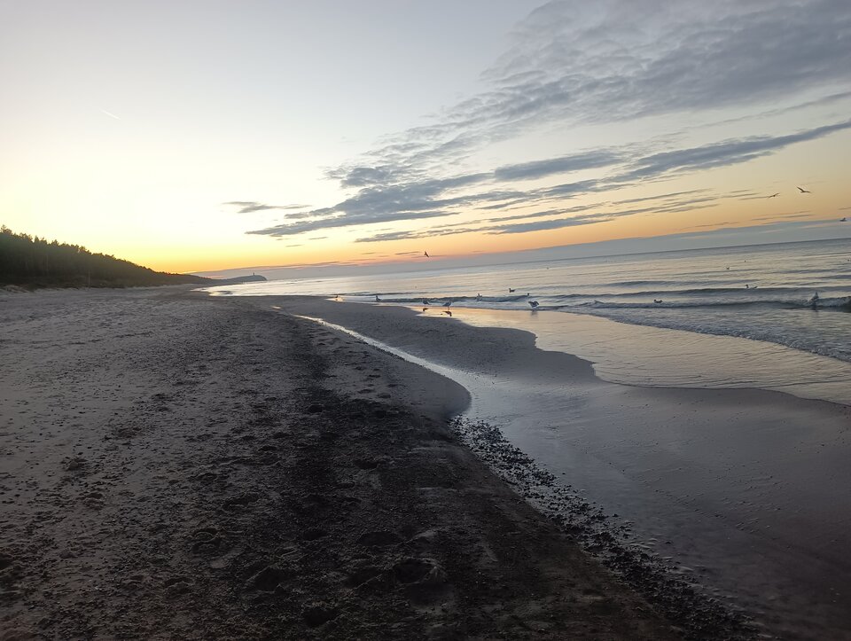 IMG20221106162632.jpg - PARA3734my