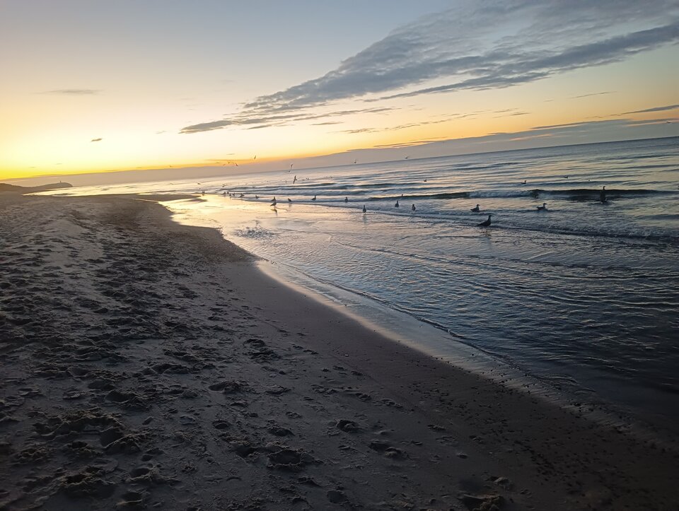 IMG20221106164153.jpg - PARA3734my