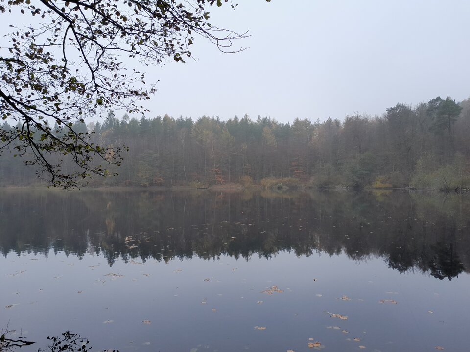 20221031_111834.jpg - 1EWELIKAR1