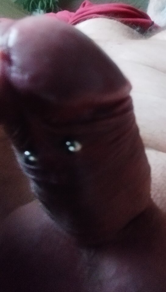 IMG_20221107_113233.jpg - Sied17