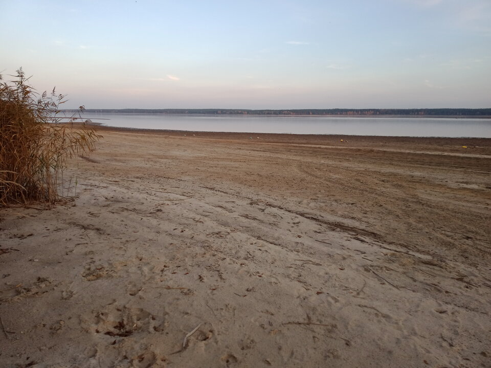 IMG 2022 10 27 170048.jpg - lookin_