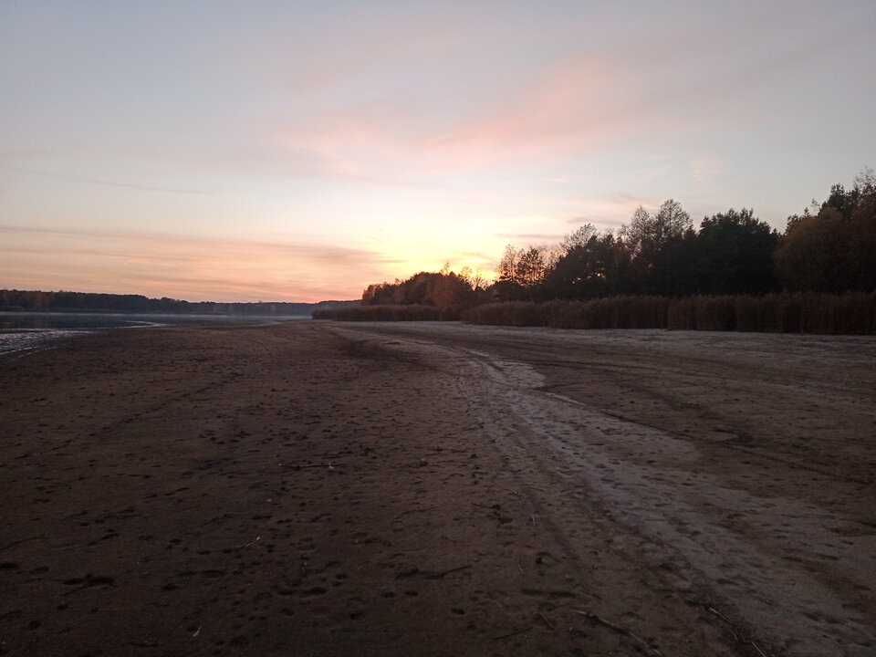 IMG 2022 10 27 172545.jpg - lookin_