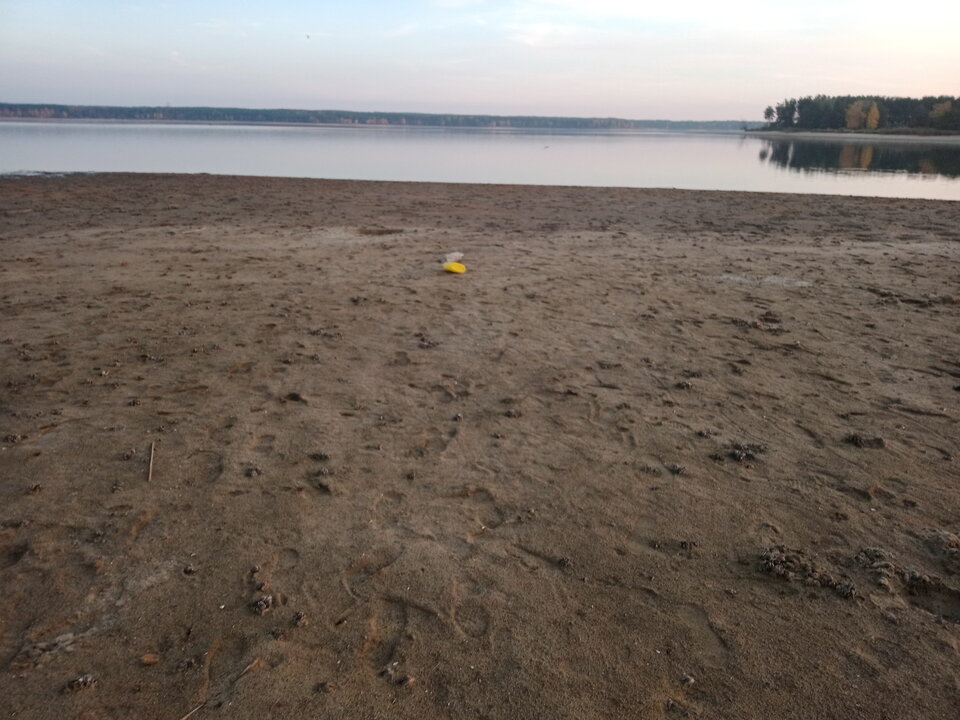 IMG 2022 10 27 170351.jpg - lookin_