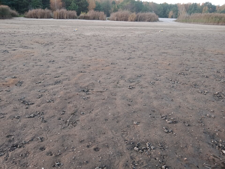 IMG 2022 10 27 170544.jpg - lookin_