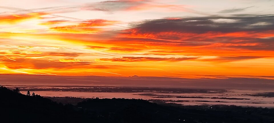 IMG_20210928_072558.jpg - AdamHunt