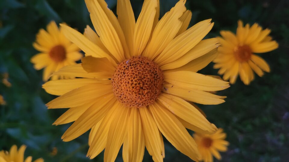 Dla wszystkich  pań które  to zobaczą. - E2rd743