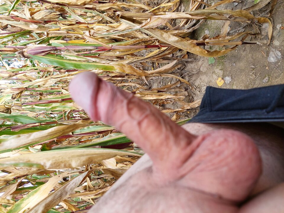 20221013_145755.jpg - tomasz0230