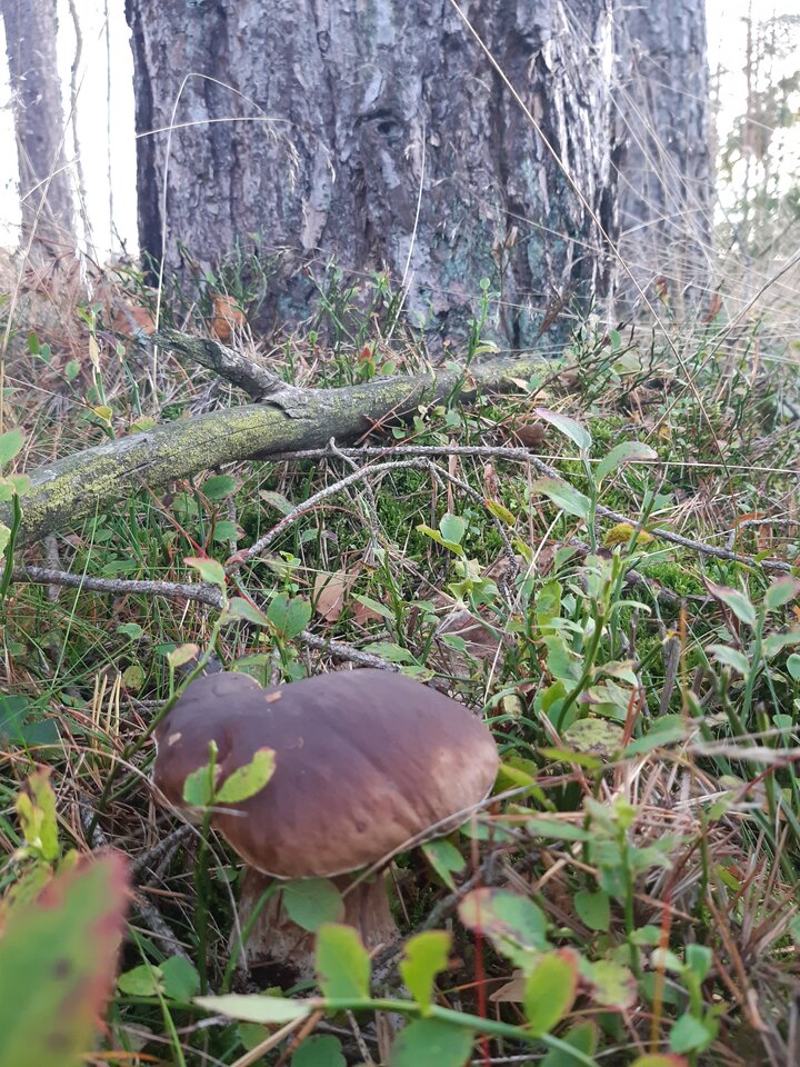 20221005_174438.jpg - torii99