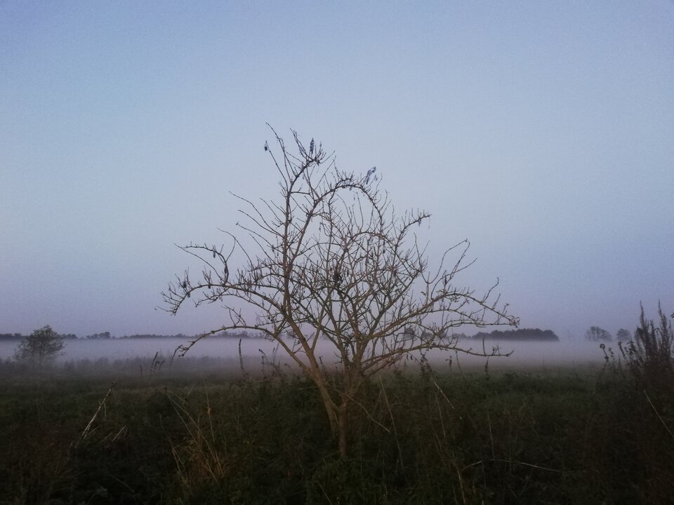 IMG_20221030_165144.jpg - torii99