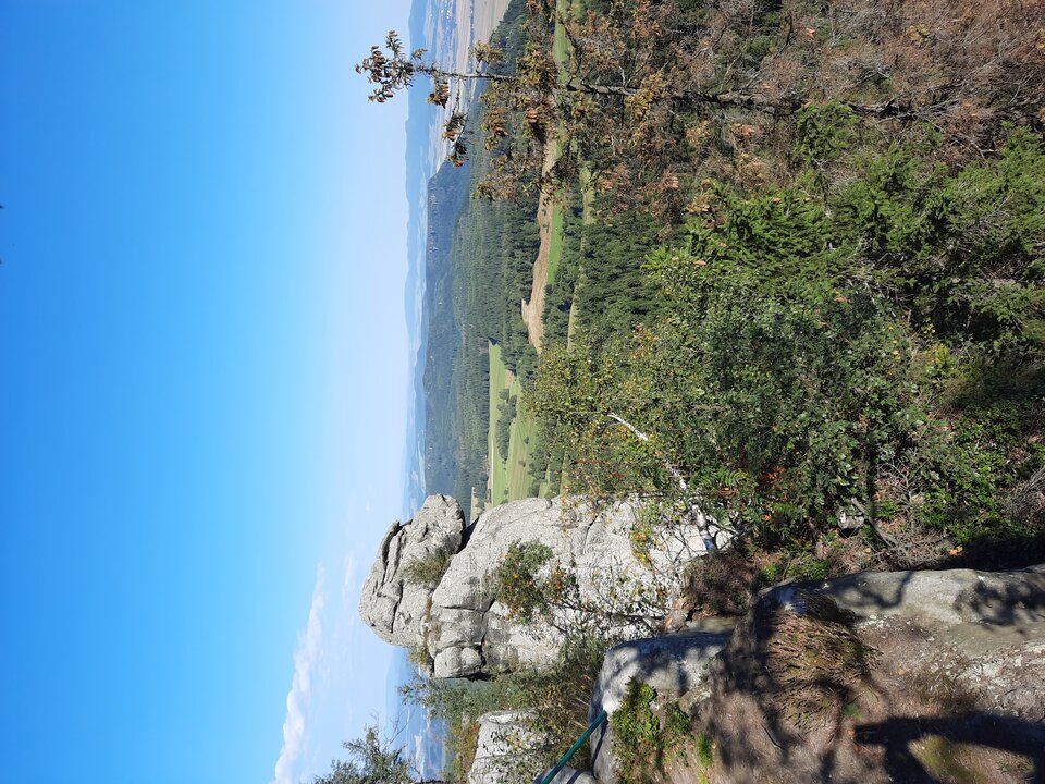 20210910_095137.jpg - Mili5