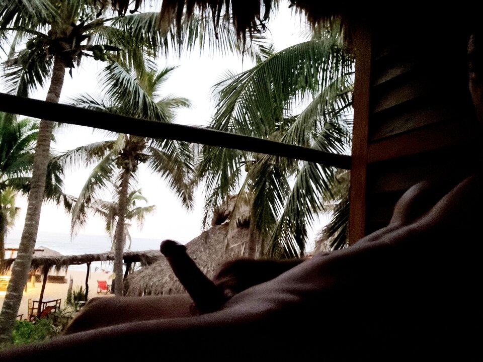 20221107_181026.jpg - FoxAndWolf