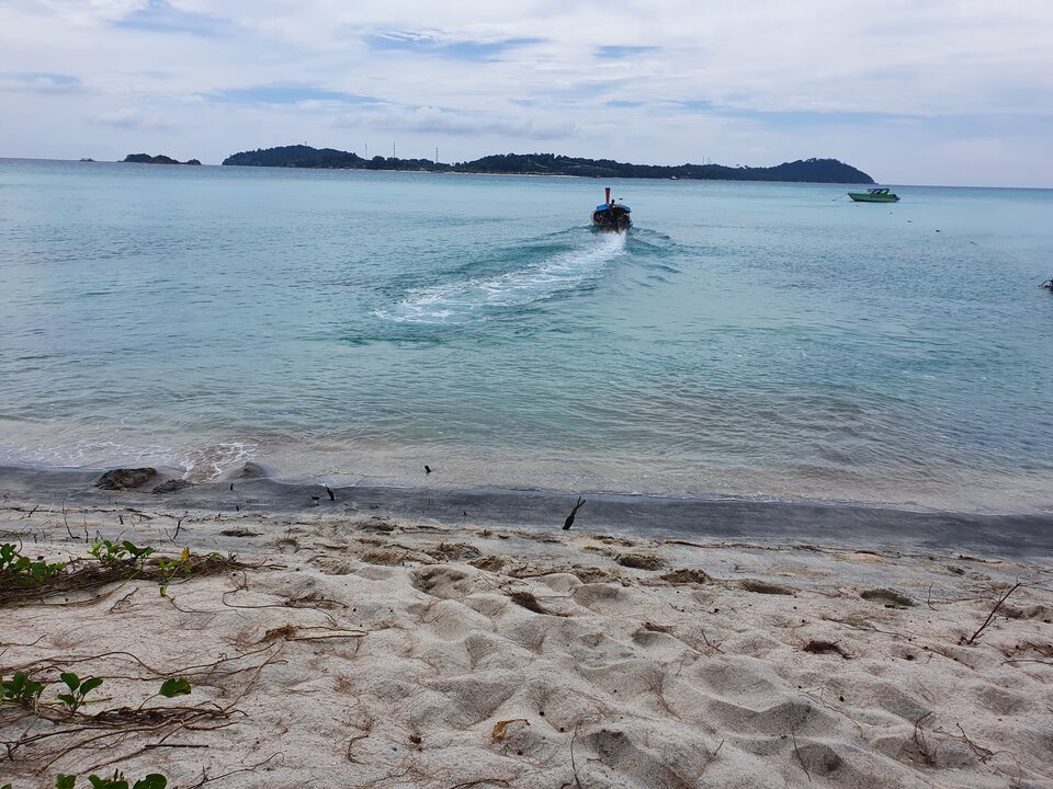 20221109_121722.jpg - Mikel1968