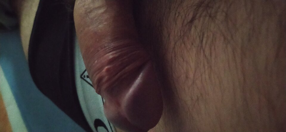 IMG_20221109_074717.jpg - Para_Dy