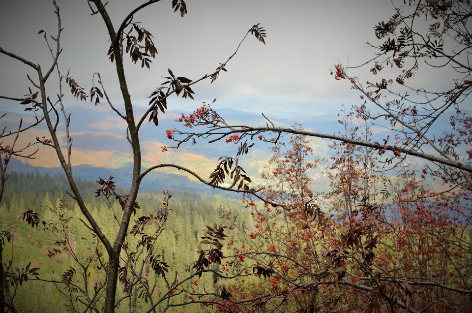 DSC_0028.JPG - Barraquito_83